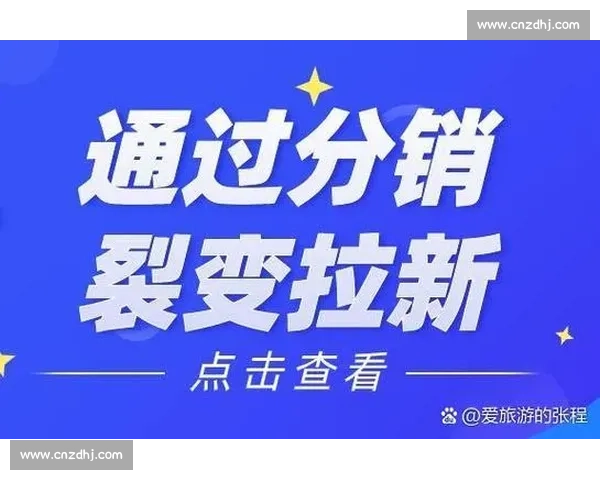 以企业分销模式为核心探索创新营销策略推动业务增长与品牌影响力提升